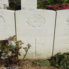17TenTreeAlleyCemeterydi21sep21.jpg