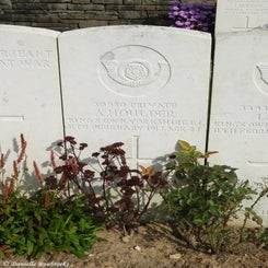 50TenTreeAlleyCemeterydi21sep21.jpg