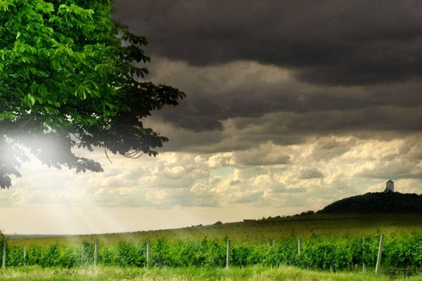 Another Grey Day - Mp3