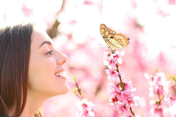 Butterfly Smile - Mp3