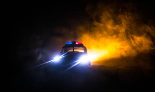 Chased Out Of The Firelight - Mp3