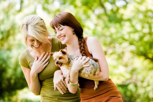 Forty-Nine Years of Friendship - Mp3