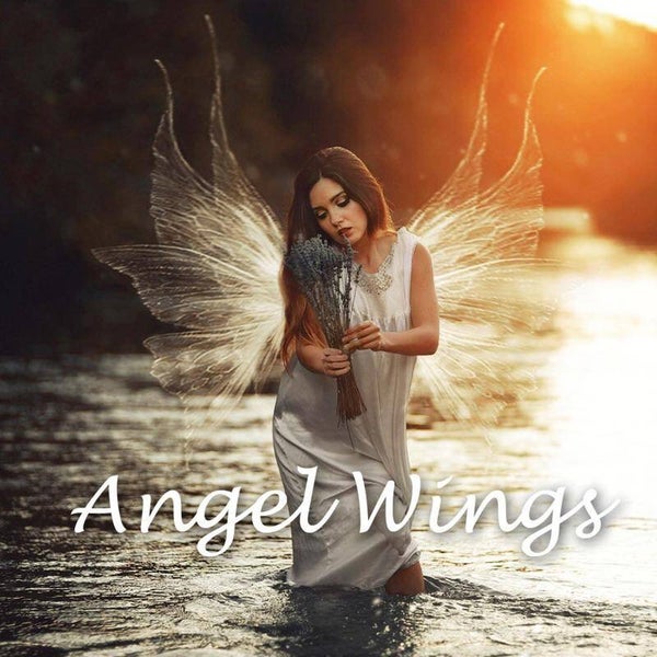 I Grew My Wings - Mp3