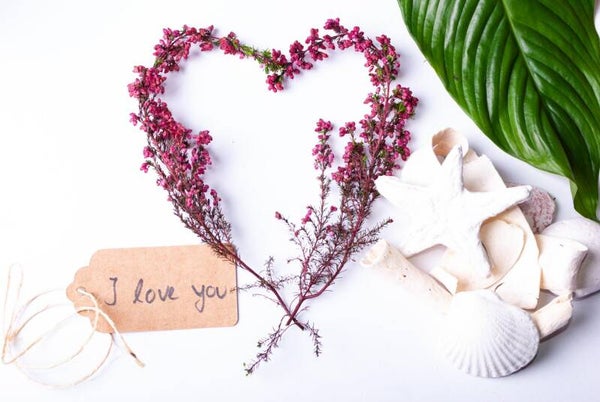 Love: The Glue Of Us - Mp3