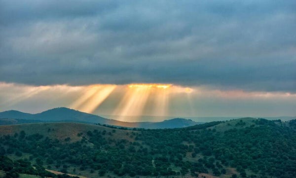 Rain Before Radiance - Mp3