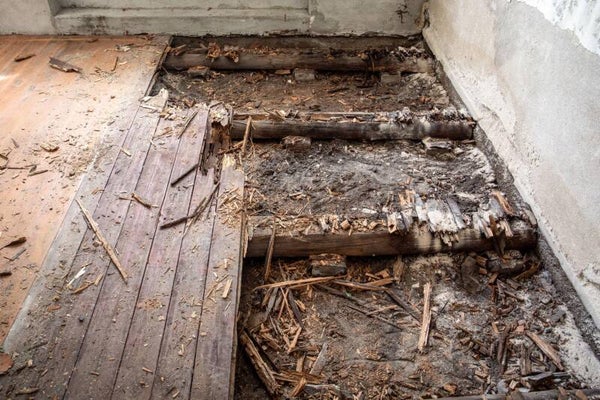 Rot Under The Floor - Mp3