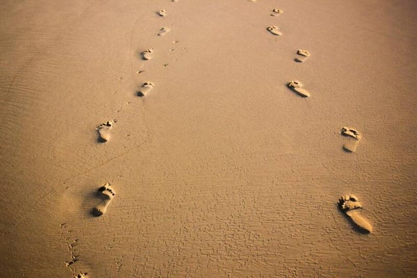 Take A Walk - Mp3