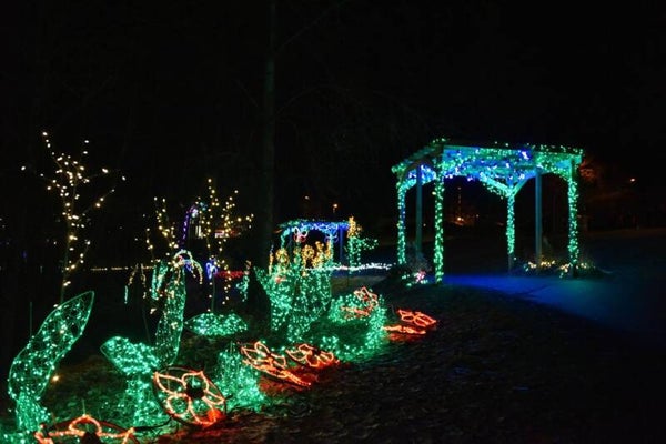 The Quiet Magic Of December - Mp3