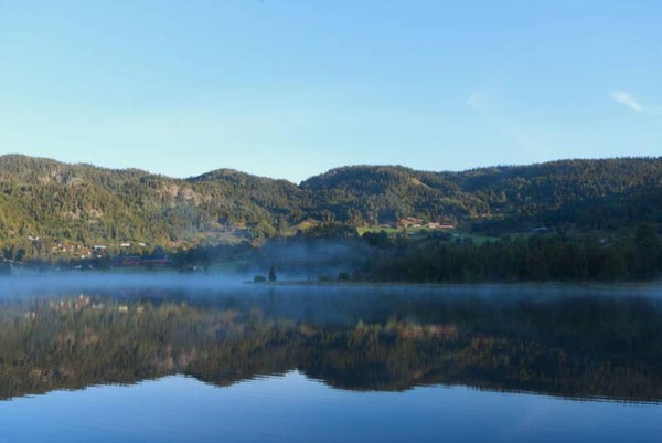 The Silence In The Morning - Mp3