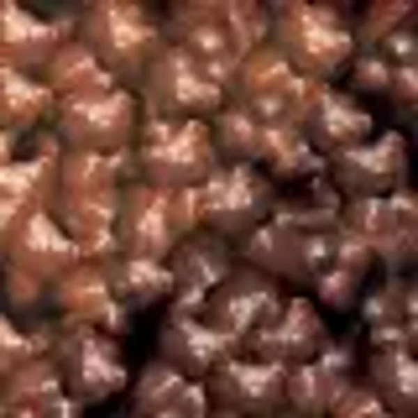 Lutti Koala guimauve chocolat noir