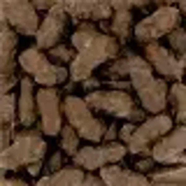 CDN souris caramel choco