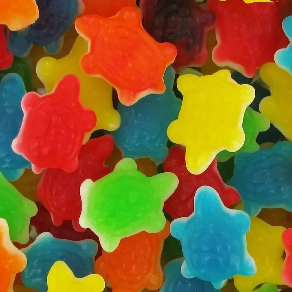 Dulceplus tortue gélifiée lisse