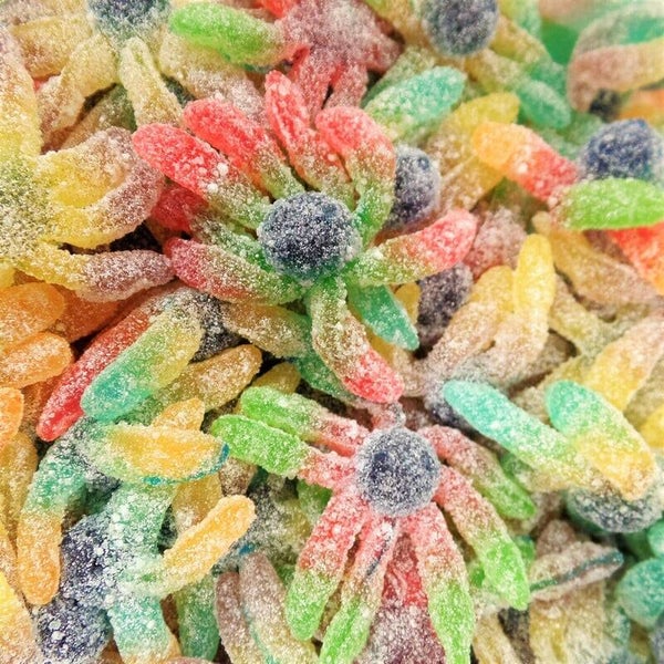 Trolli poulpe joubini