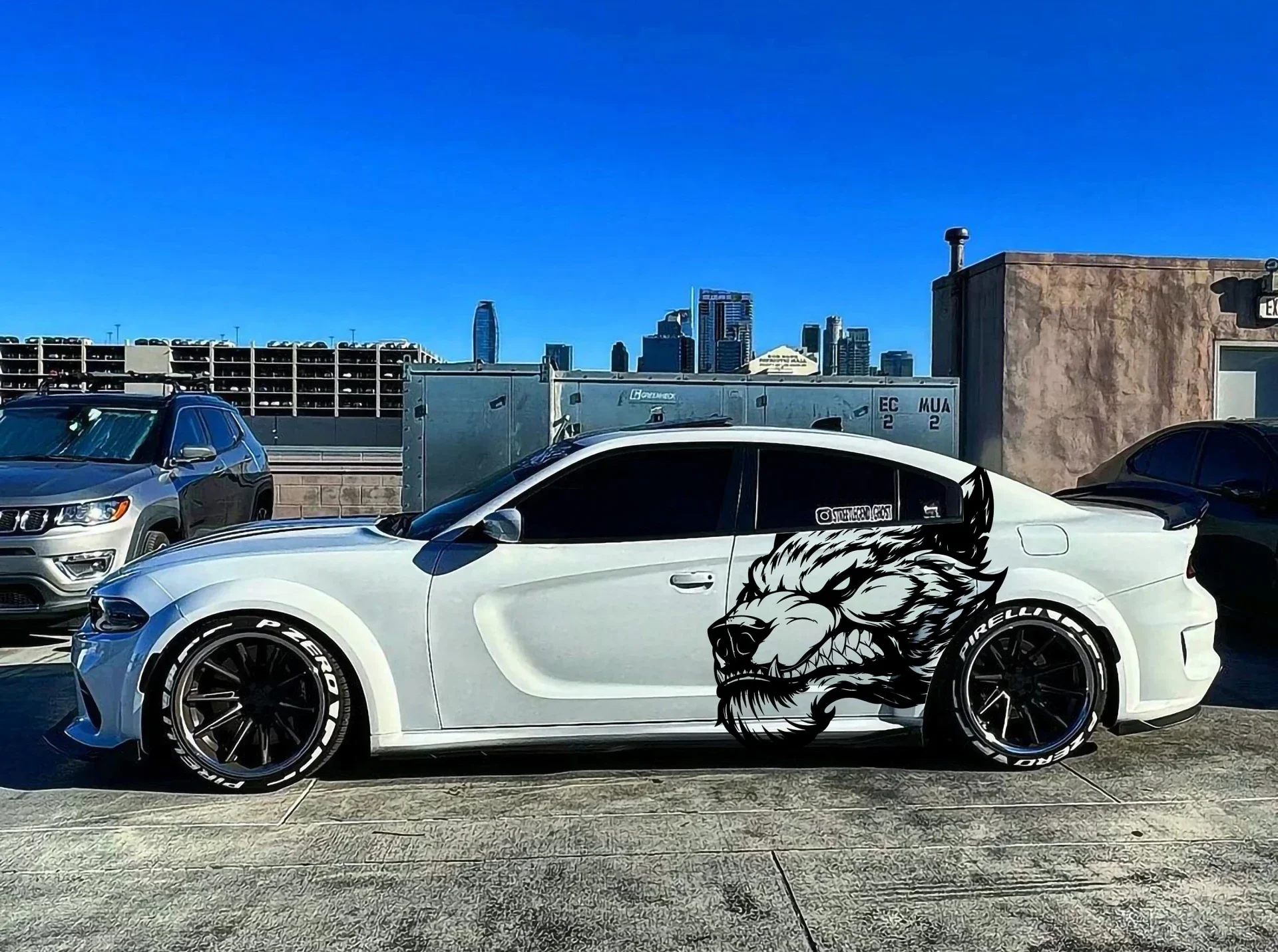 Wolf coyote- Regular