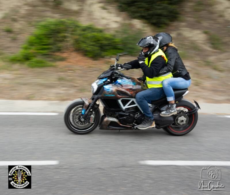 9v0a0616-1-standard.jpg