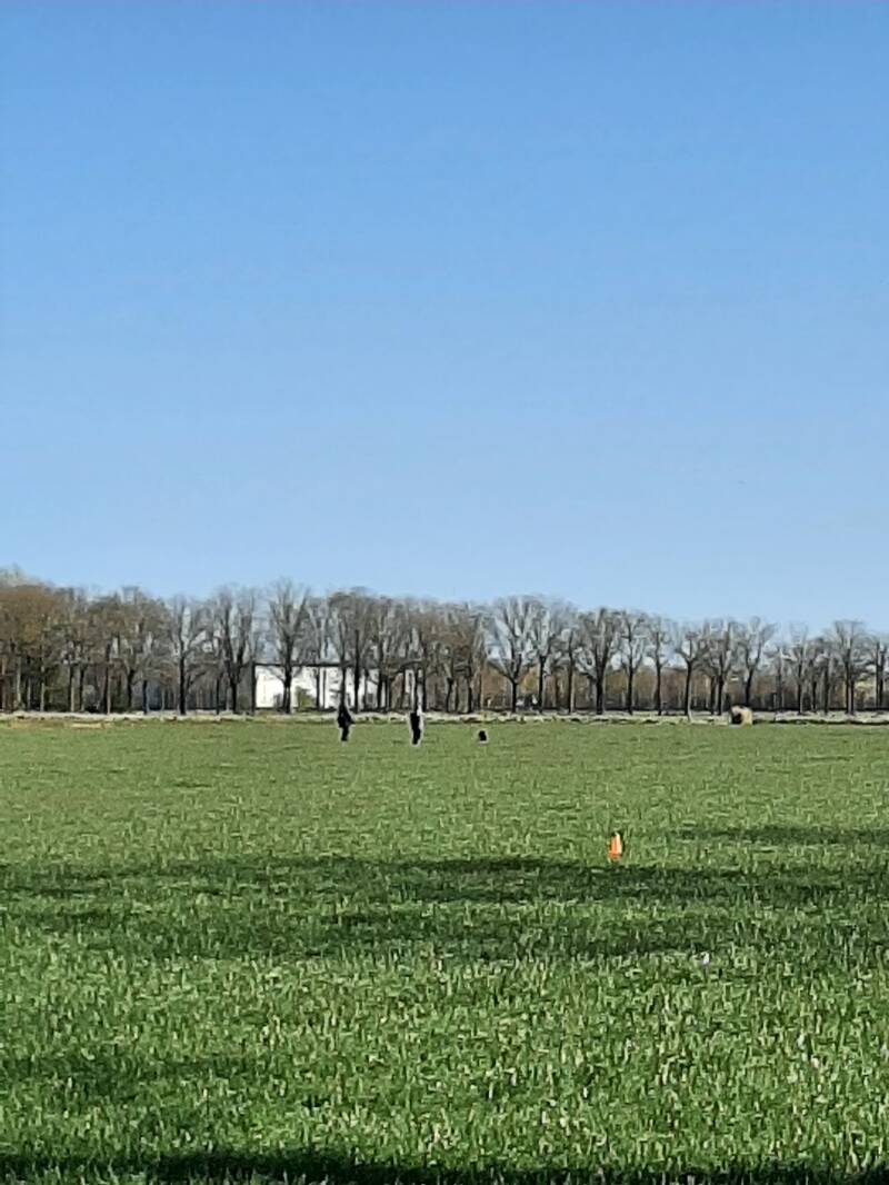 20260329_103805-standard.jpg