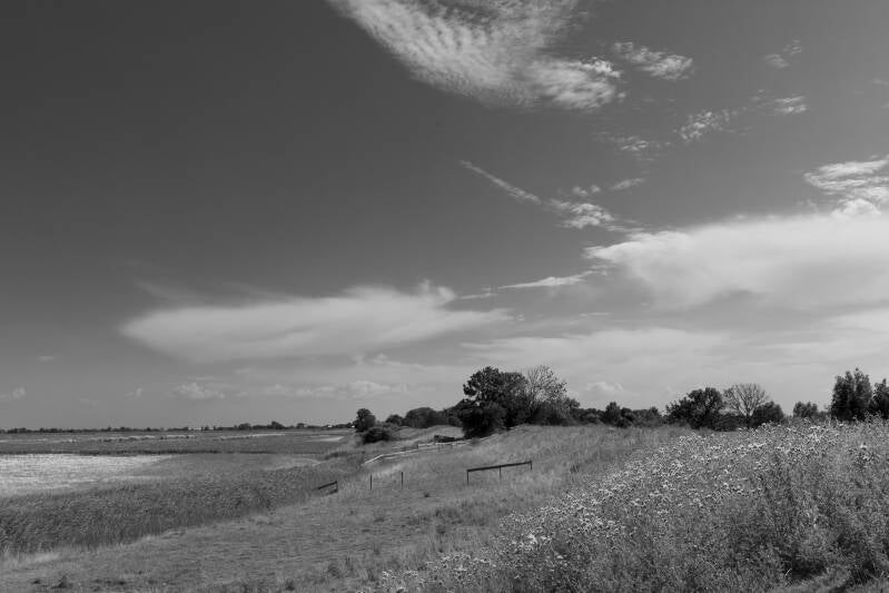 Sky20