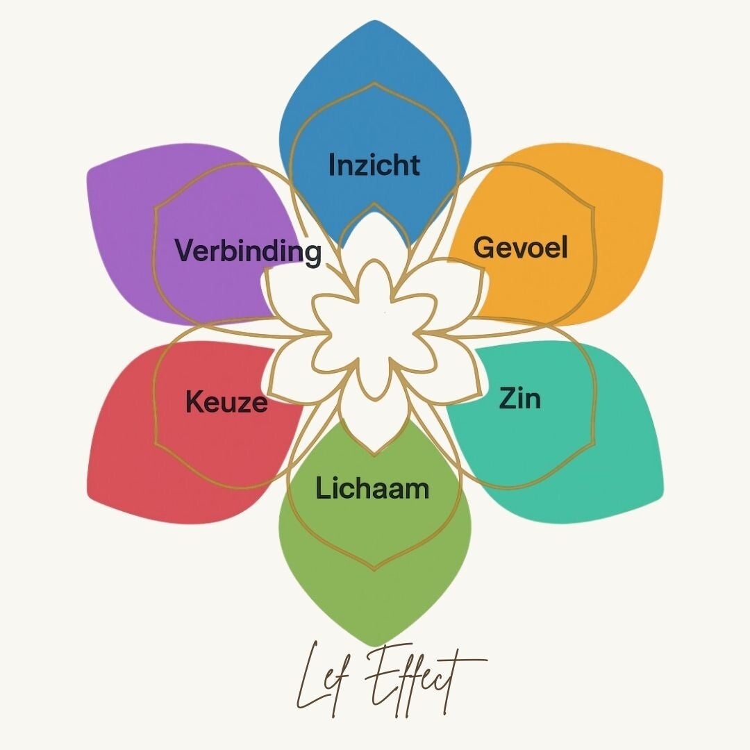 Lef Effect Inspiratiekaarten – stilstaan, voelen, groeien