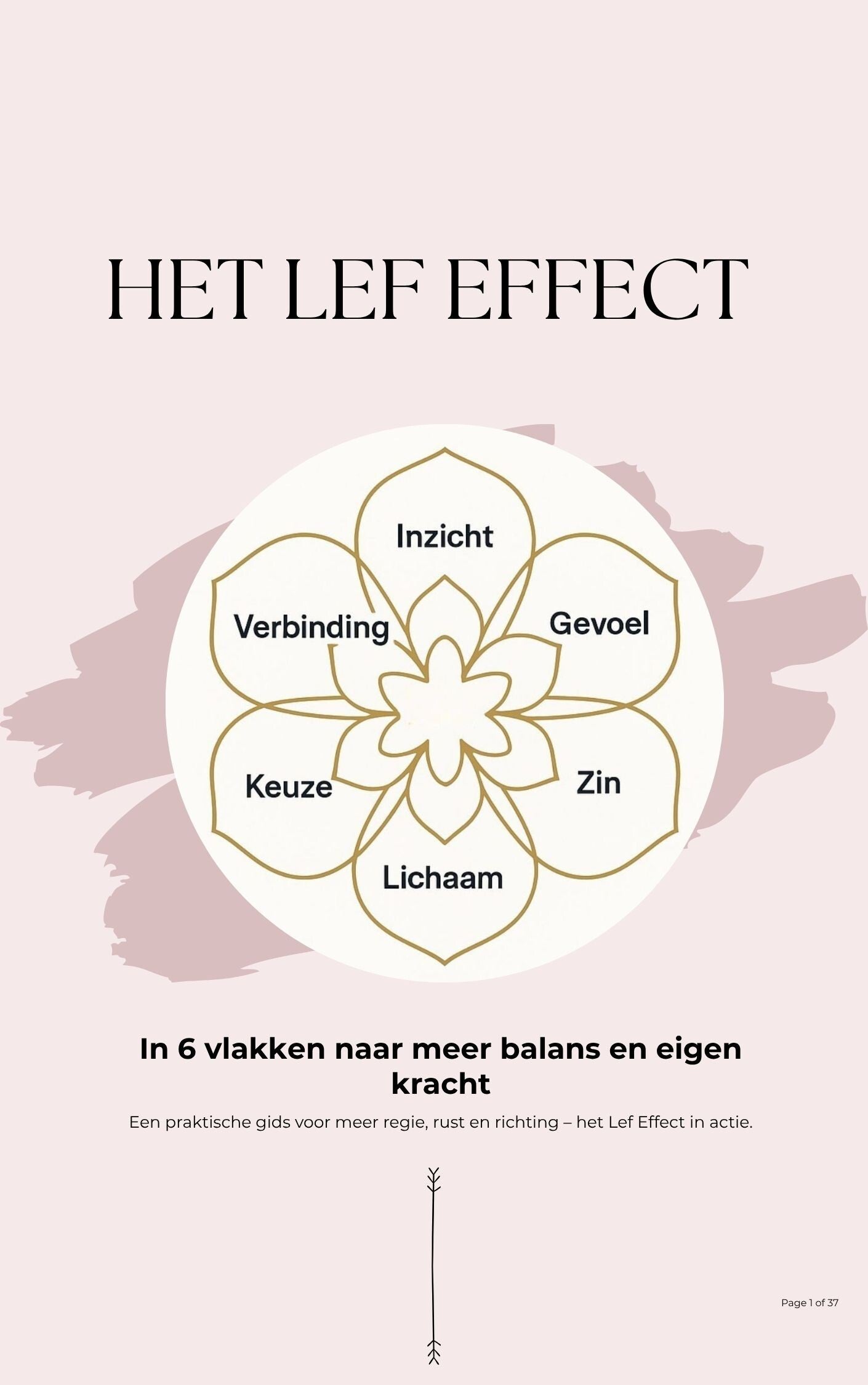 Lef Effect e-book - voor meer rust, regie en richting