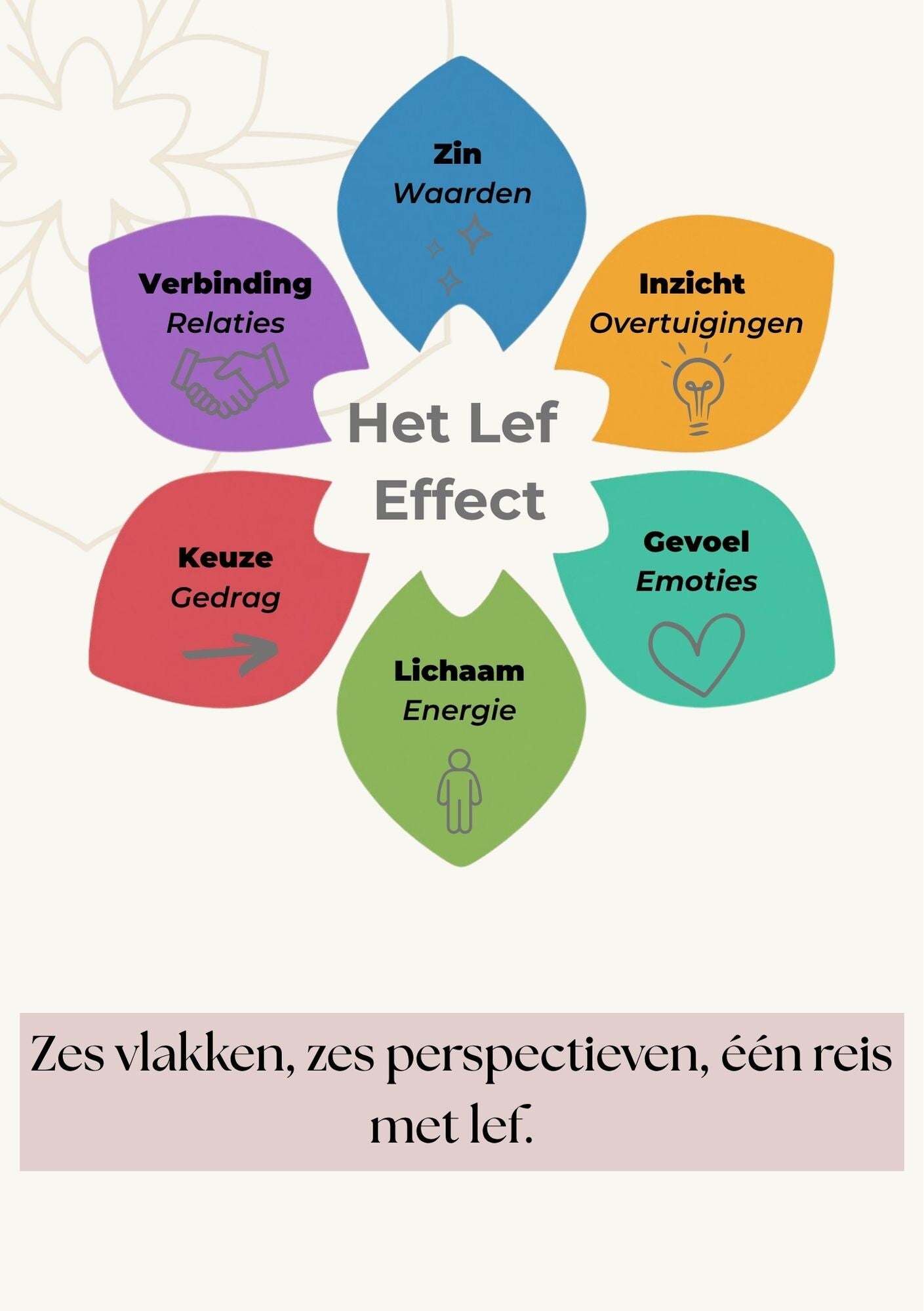 Lef Effect Stappenplan – van inzicht naar actie