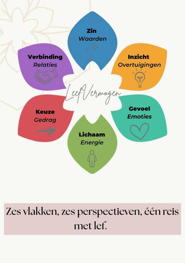 LeefVermogen Stappenplan | 11 pagina's praktisch werkboek + invulvragen + 6 stappenmodel