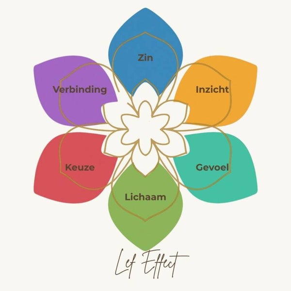 Lef Effect Inspiratiekaarten – stilstaan, voelen, groeien