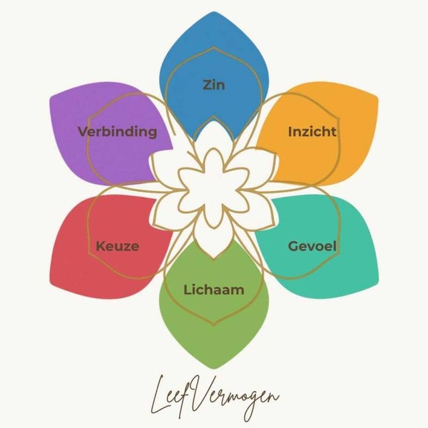 LeefVermogen workshop