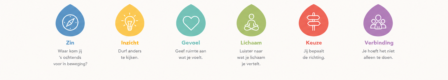 De Werk- en LeefVermogen methode met de zes bloembladen: Zin, Inzicht, Gevoel, Lichaam, Keuze en Verbinding. Samen vormen zij de basis voor duurzame inzetbaarheid en persoonlijke ontwikkeling.