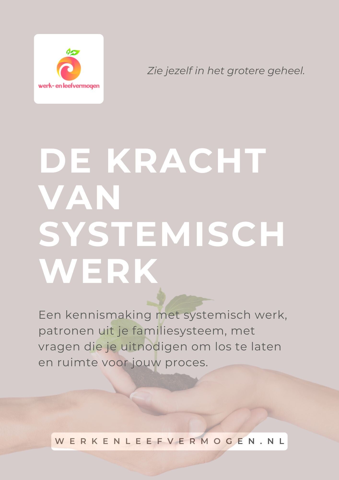 De kracht van systemisch werk - gratis