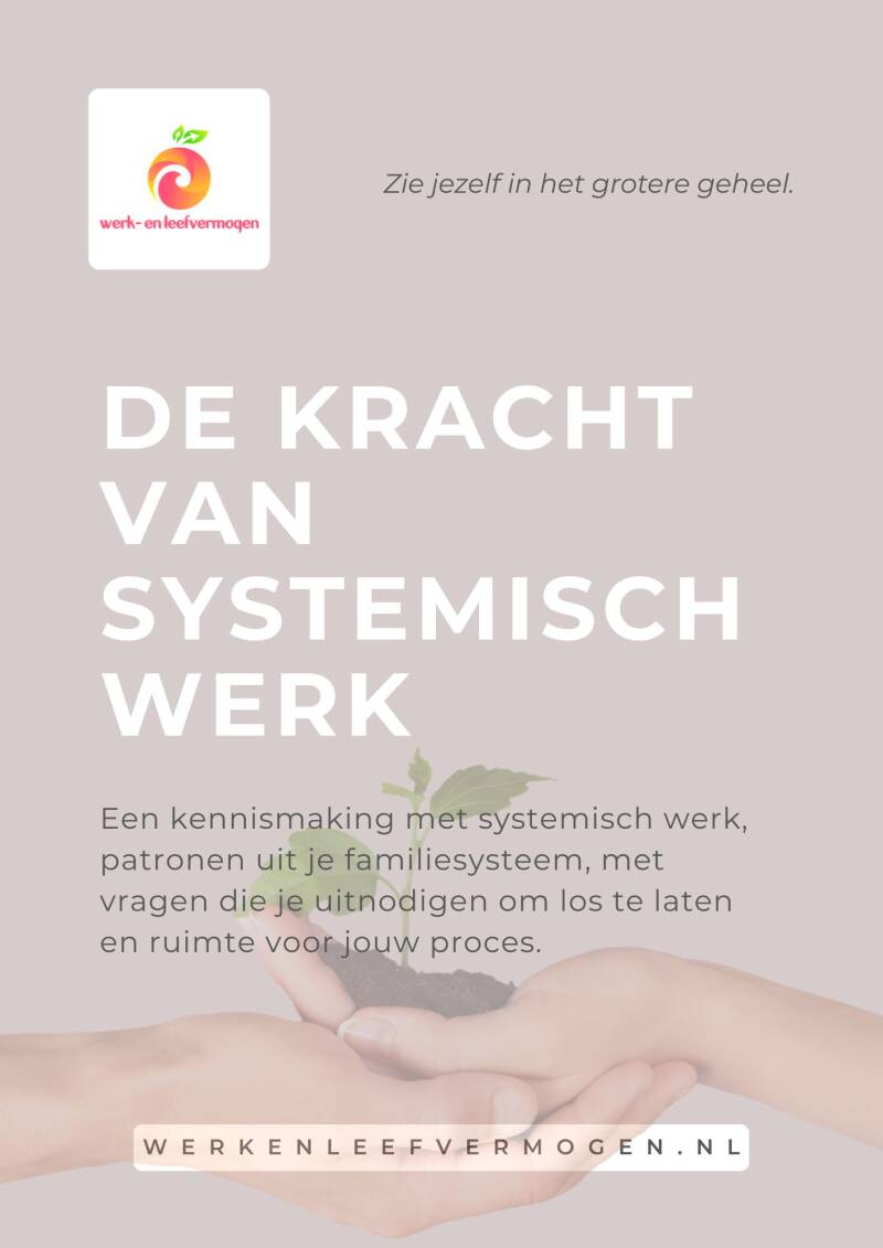 Cover van het gratis e-book Systemisch Werken over verborgen patronen, dynamieken en systemisch kijken.