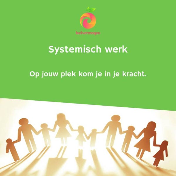 Workshop systemisch werken