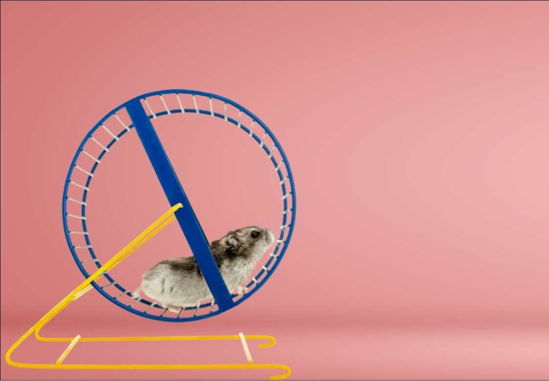 Hamster in een looprad als beeld voor hoe hard je best doen zonder echt vooruit te komen door automatische patronen.