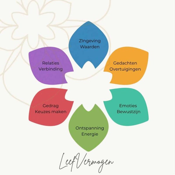 LeefVermogen training