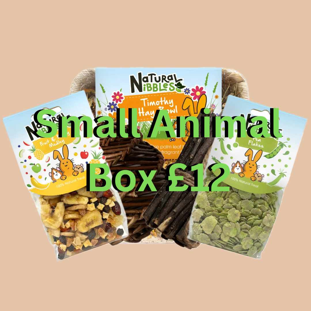 Small Animal Treat Box