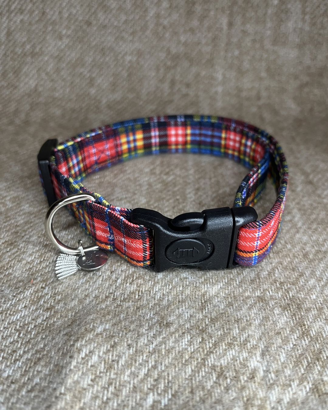 Ogilvie Tartan Collar