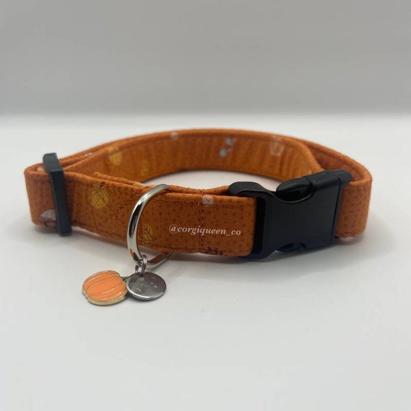 Orange Pumpkin Collar