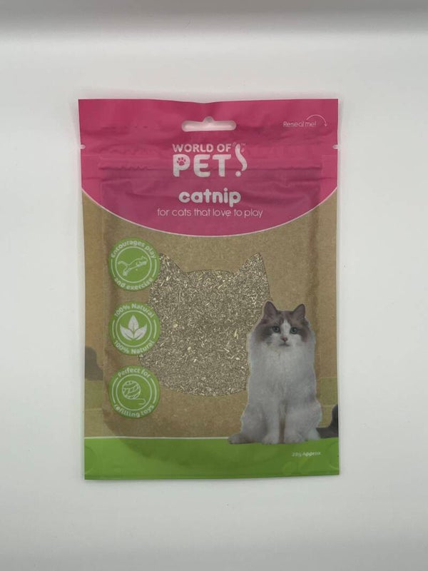 Catnip