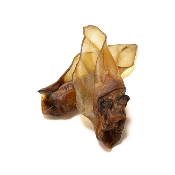 Large Cow Ears No Hair