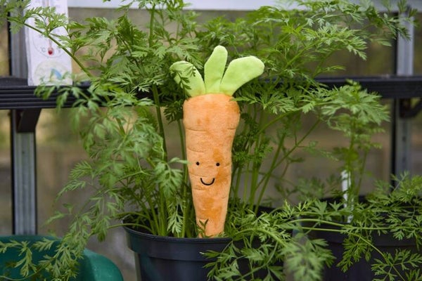 Foodie Faces Fluffy Carrot Toy