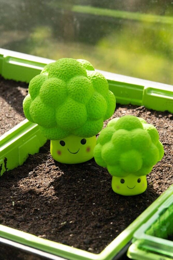 Foodie Faces Broccoli Toy