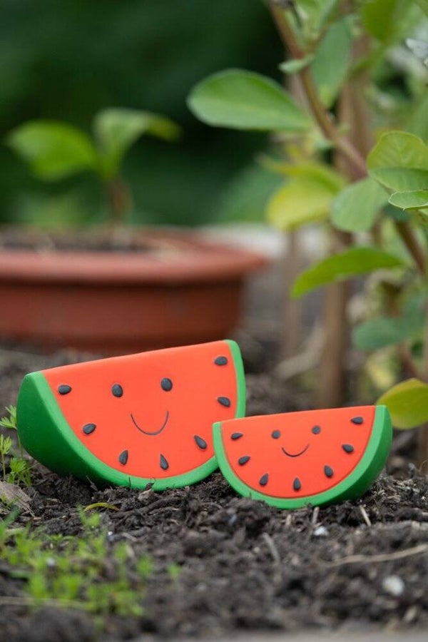 Foodie Faces Watermelon Toy