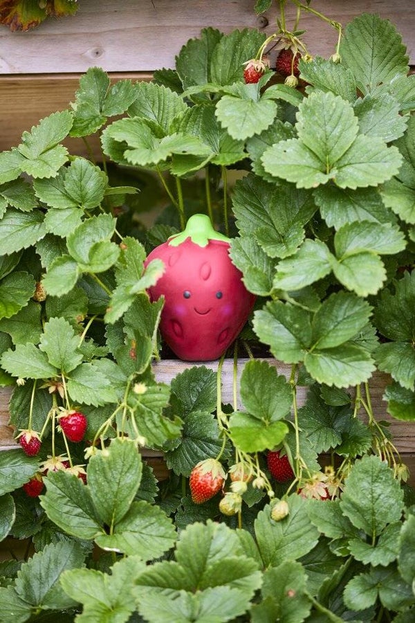Foodie Faces Sofia Strawberry Toy
