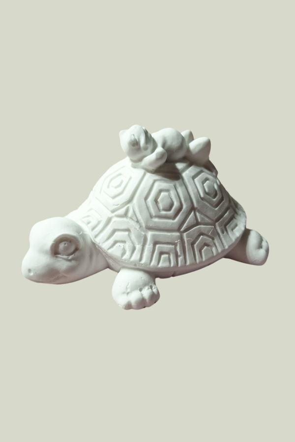 Schildkröte mit Frosch