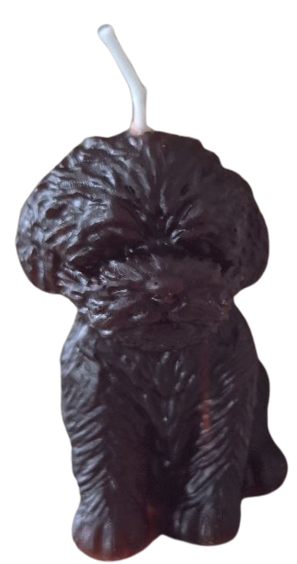 Kerze
