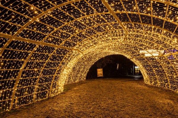 Light decoration