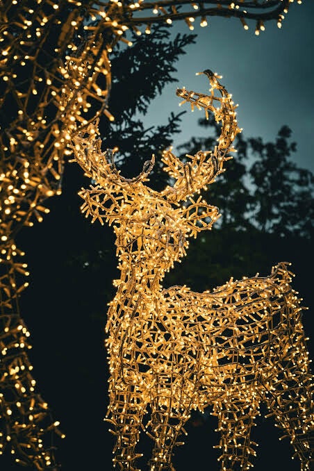 wedding decoration