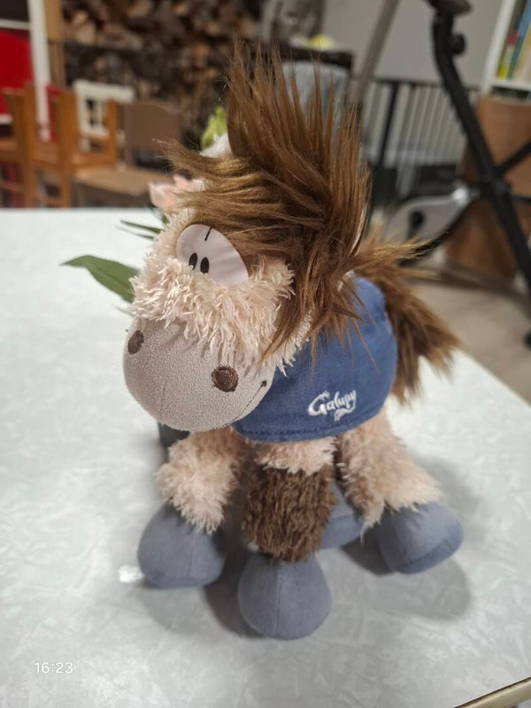 Galupy mittlere Größe