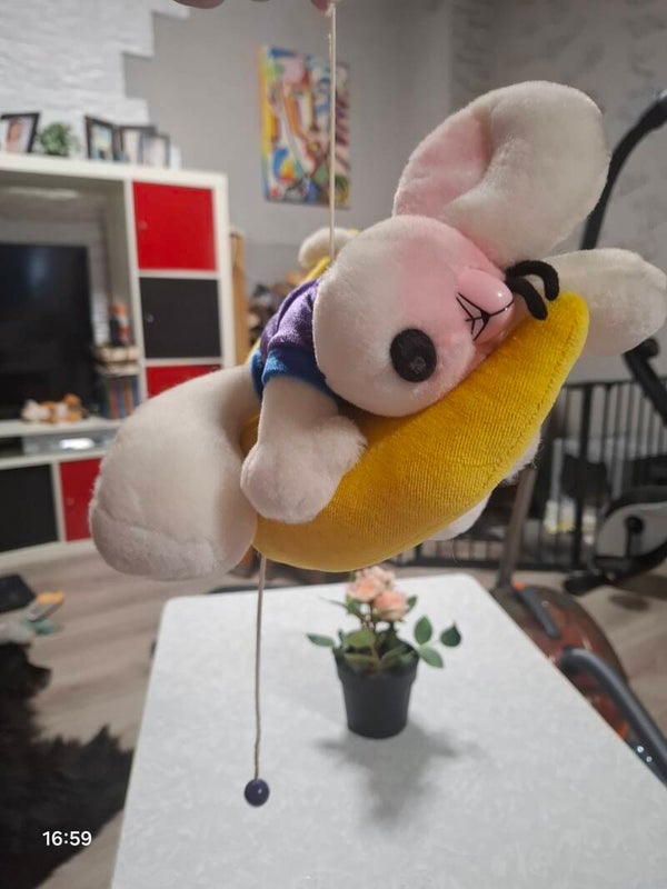 Diddle Spieluhr