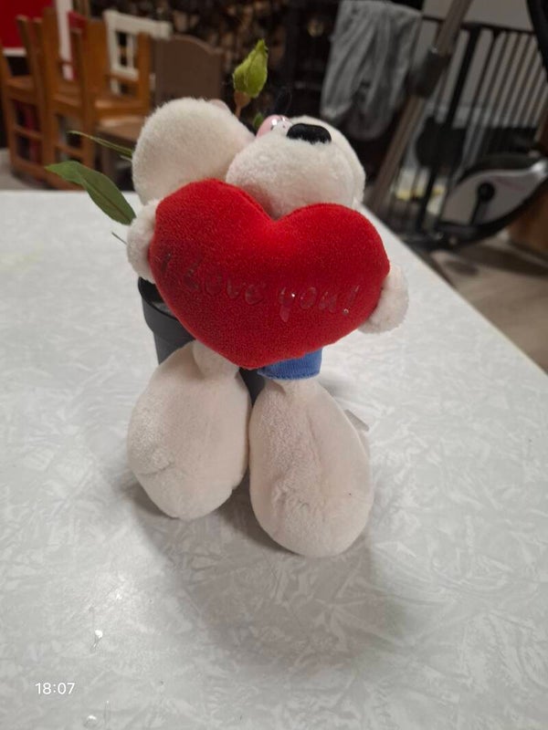 Diddl "I Love you"