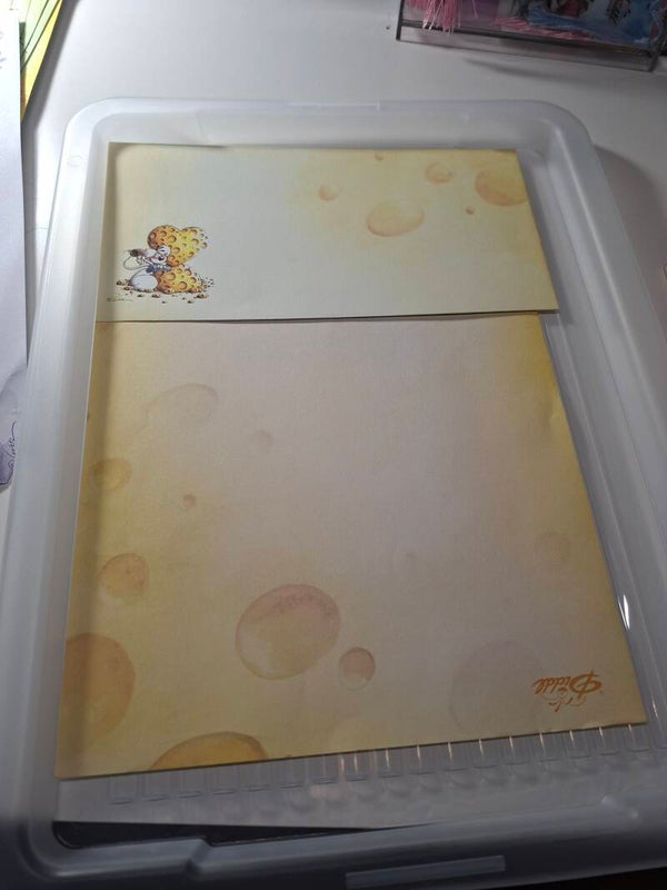 Diddl Briefpapier A4 Set